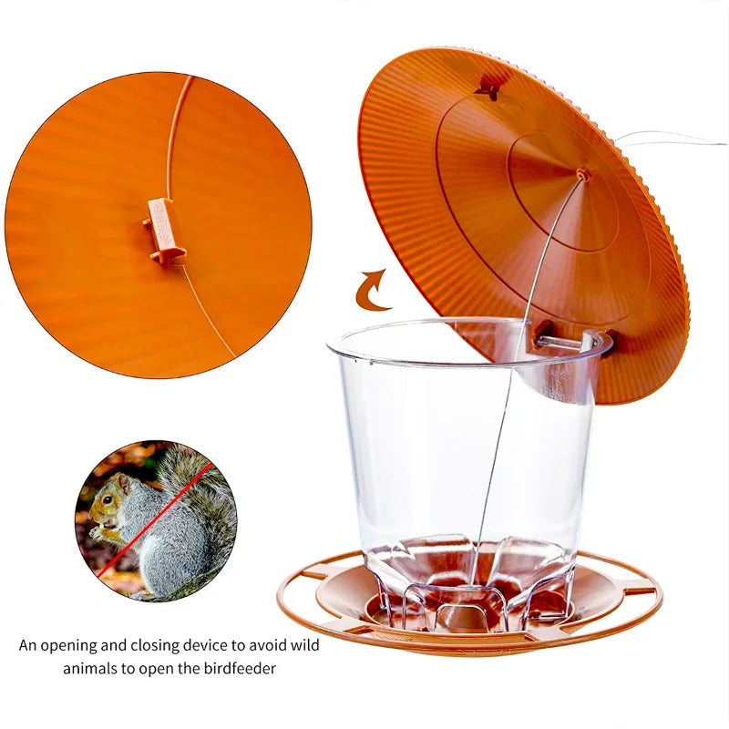 Attract Wild Birds To Your Garden With These Stunning Outdoor Bird Feeders!