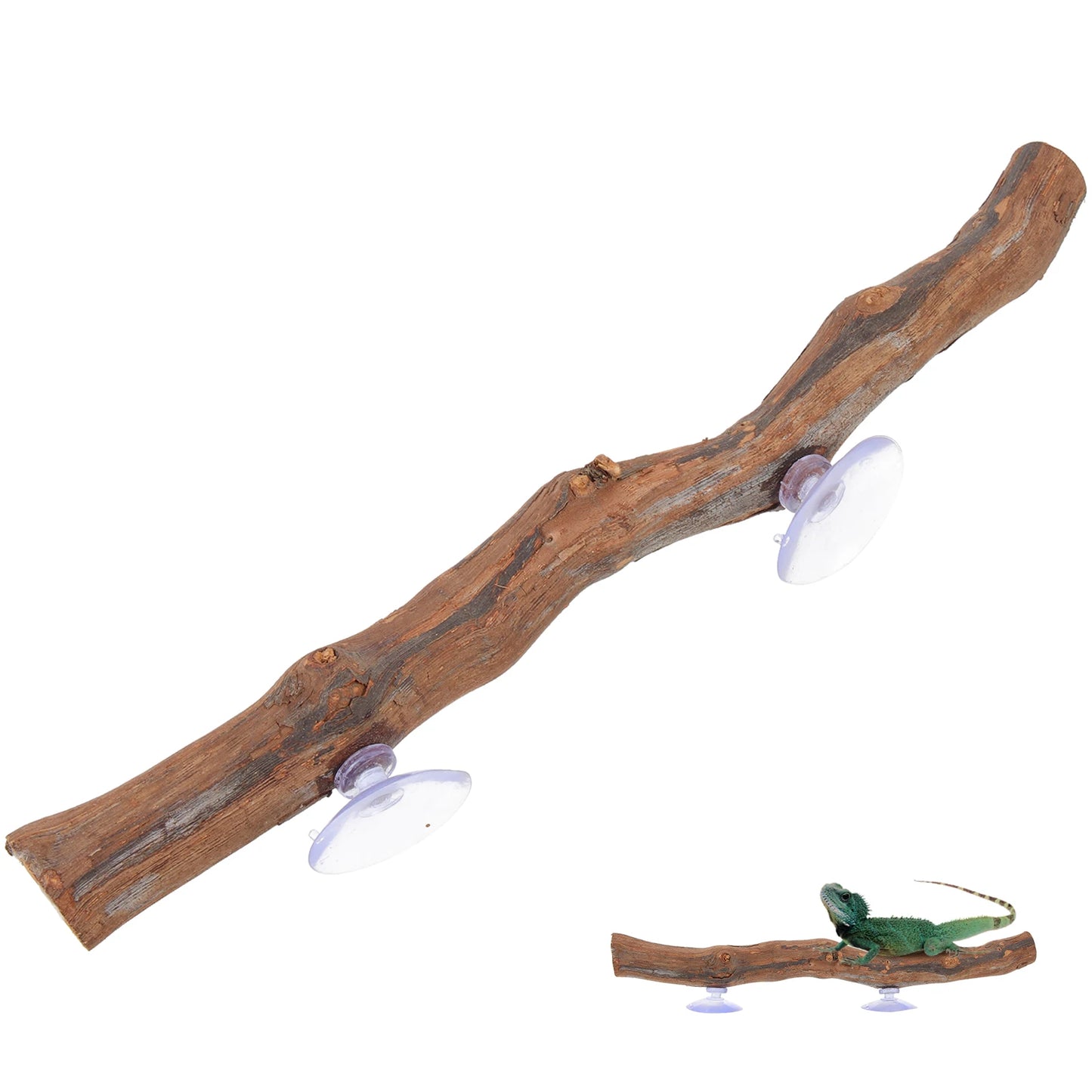 Lizard Pet Stand Reptile Accessory Decor Cage Toy Terrariums Interesting Climbing Grape Wood Crested gecko Wooden Tree Branch