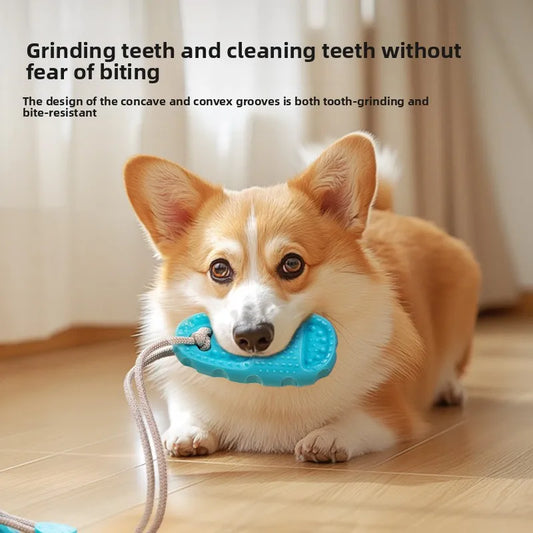 Jouet avec ventouse pour stimuler les chiens