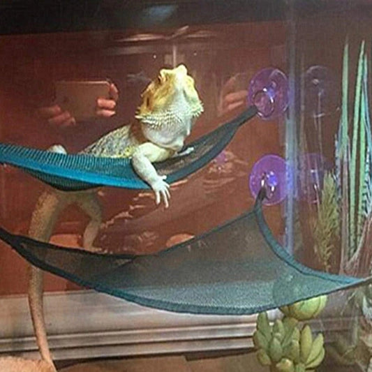 Hamac pour reptiles