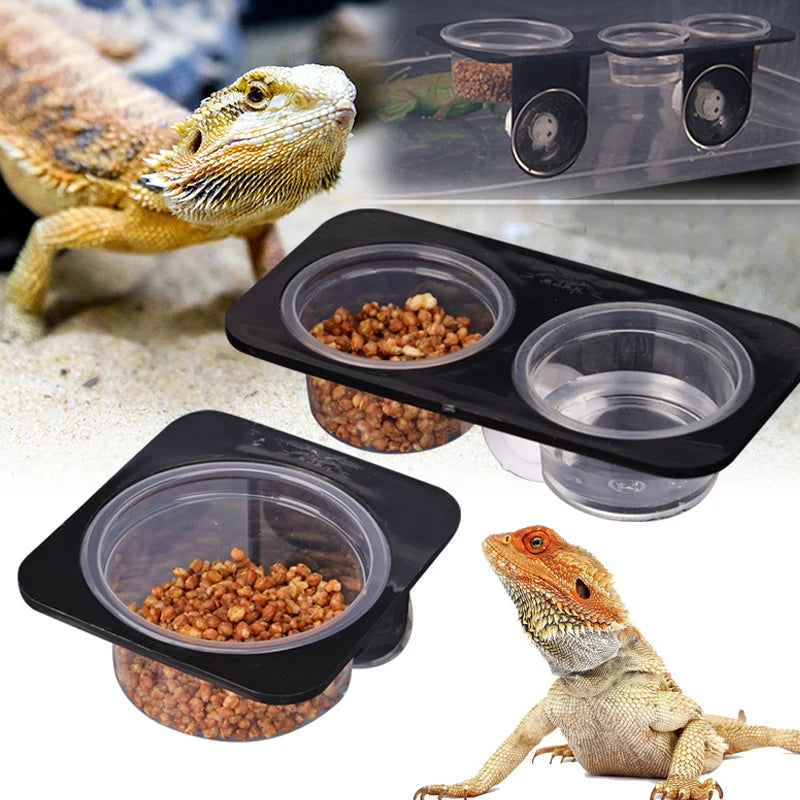 Reptile Feeder with Suction Cup Reptile Feeders Feeding Bowls Food Container with Bowl for Reptile Food and Water Feeding