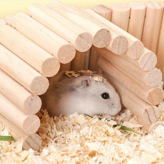 Jouet interactif échelle clôture pour hamsters