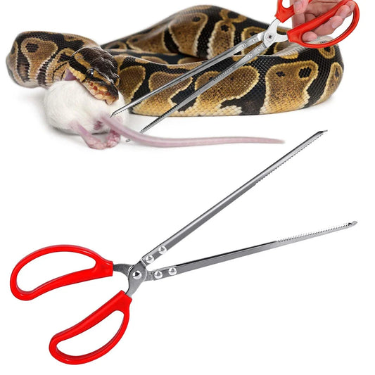 Pince d’alimentation de reptiles