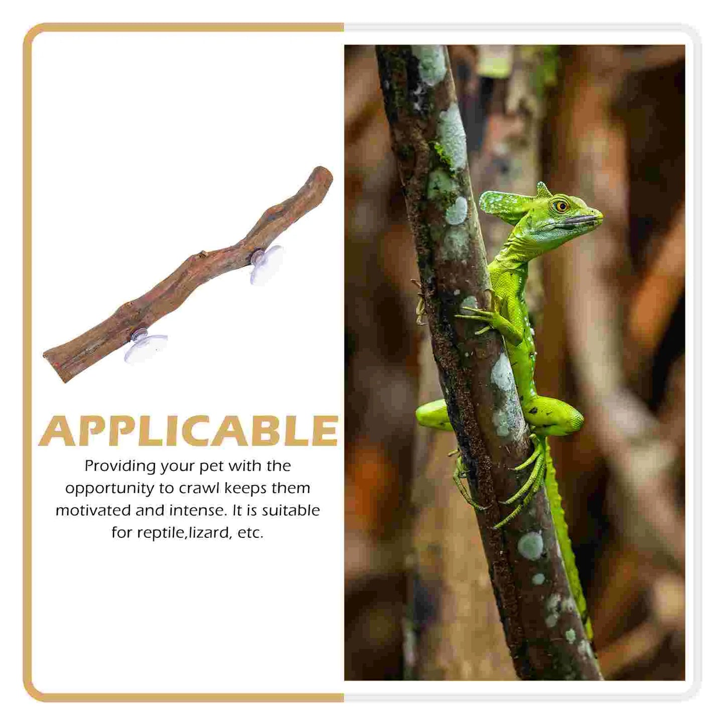 Lizard Pet Stand Reptile Accessory Decor Cage Toy Terrariums Interesting Climbing Grape Wood Crested gecko Wooden Tree Branch
