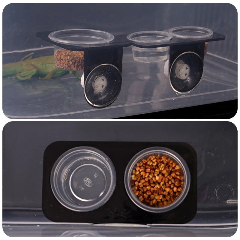 Reptile Feeder with Suction Cup Reptile Feeders Feeding Bowls Food Container with Bowl for Reptile Food and Water Feeding