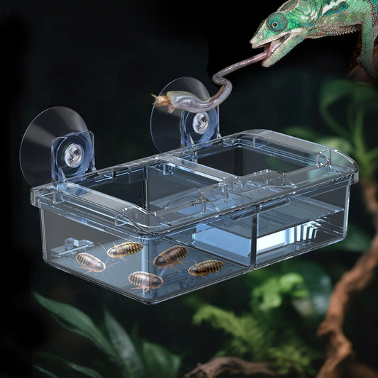 Bol de nourriture et d’eau pour reptiles