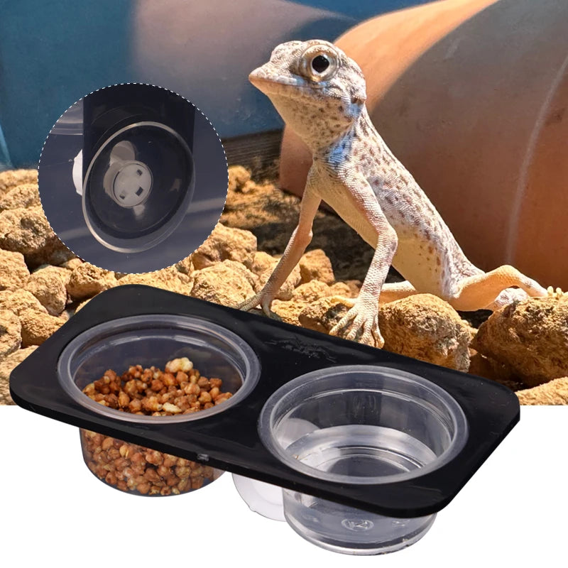 Reptile Feeder with Suction Cup Reptile Feeders Feeding Bowls Food Container with Bowl for Reptile Food and Water Feeding