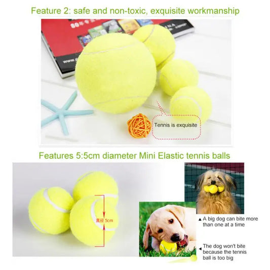 Balles de tennis pour chiens