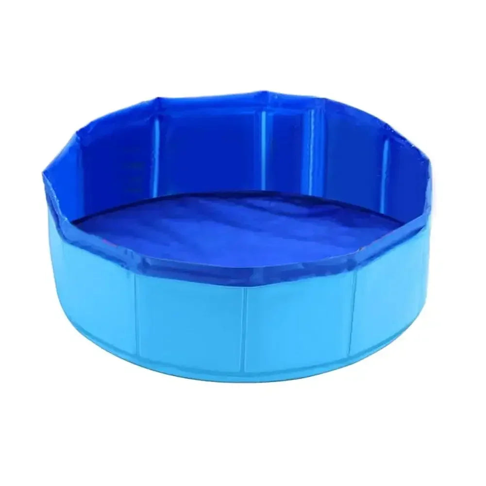 Piscine pour chats, chiots ou autres