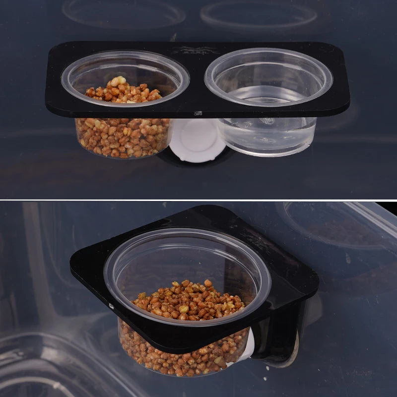 Reptile Feeder with Suction Cup Reptile Feeders Feeding Bowls Food Container with Bowl for Reptile Food and Water Feeding