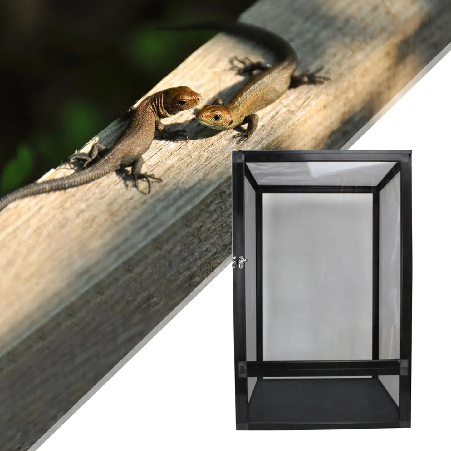 Reptile Terrarium Pet Enclosure Front Door Dismantling Reptile Cage Interaction Tank for Snake Gecko Chameleons Bearded Dragons