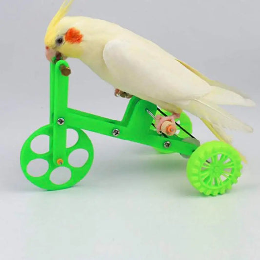 Jouet pour perroquet vélo