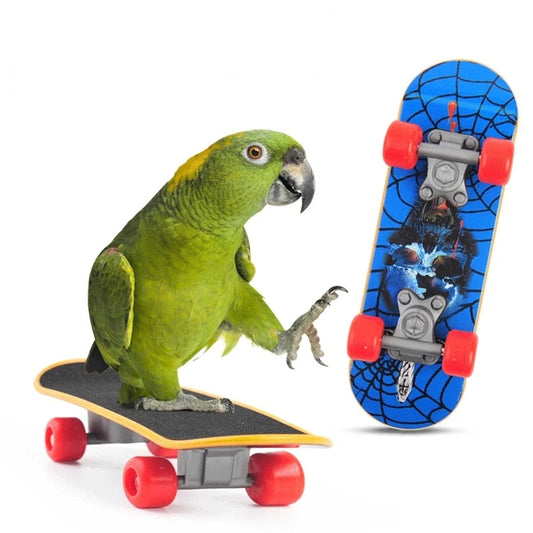 Mini skateboard pour oiseaux