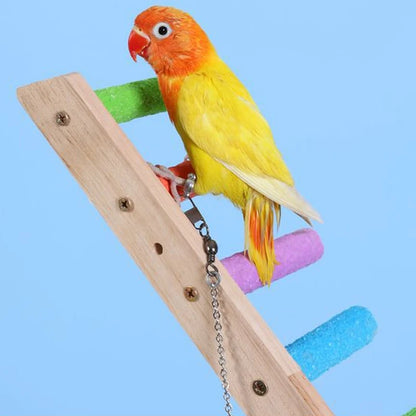 Echelle d’escalade pour oiseaux