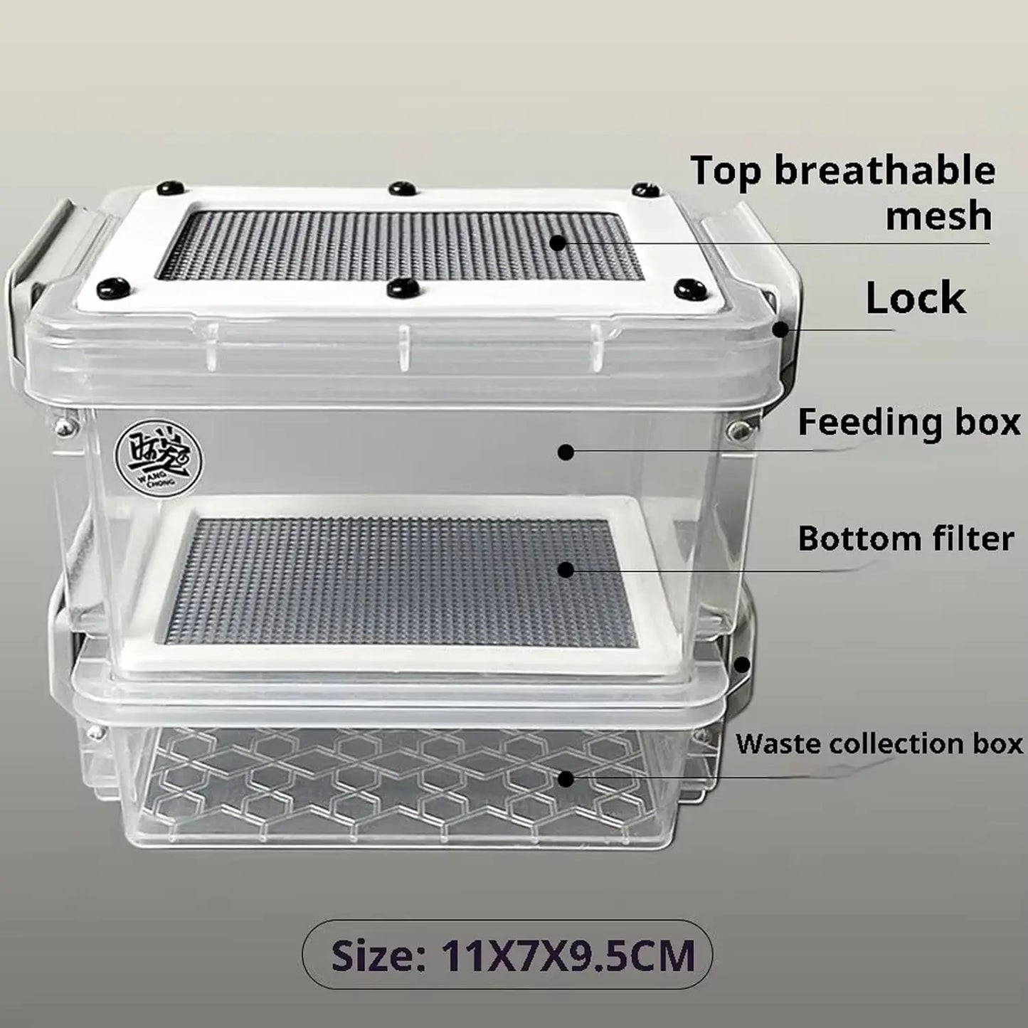 Reptile Feeding Box Transparentk Acrylic Reptile Feeder Food Storage for Lizards Chameleons Mealworms Crickets Dubia Cockroaches