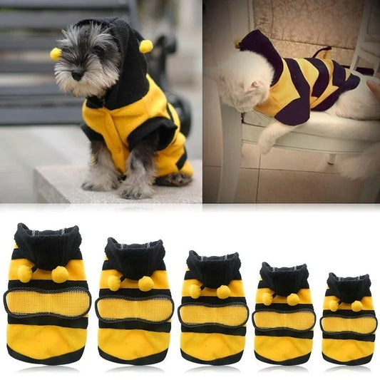 Manteau pour chiot abeille