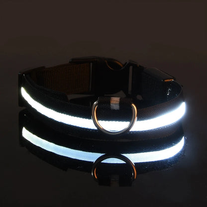 Collier de chien basique équipé d’un système d’éclairage