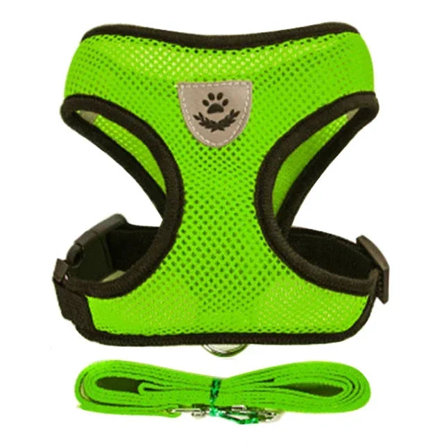 Harnais réglable pour chats et chiens