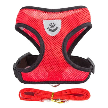 Harnais réglable pour chats et chiens