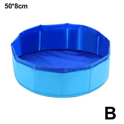 Piscine pour chats, chiots ou autres