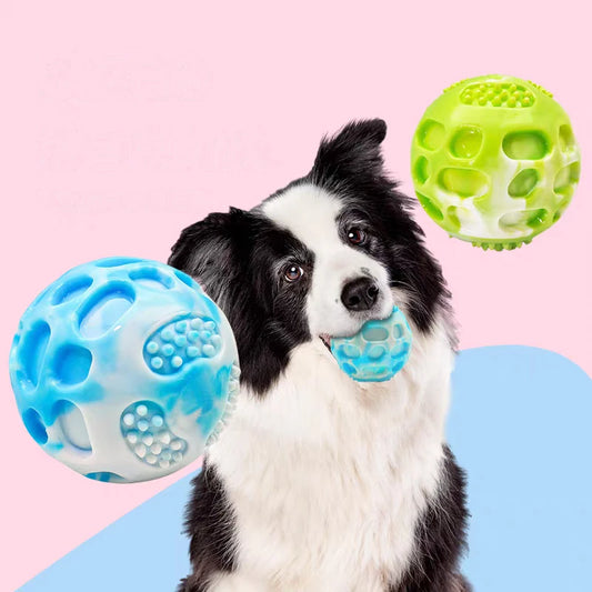 Balle d'entrainement pour chiens