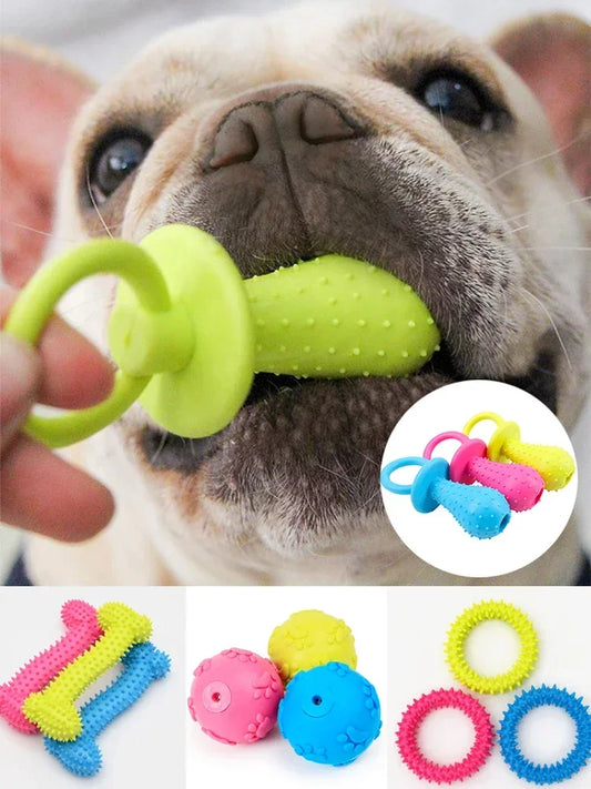 Jouets d'entrainement à mâcher pour chiens