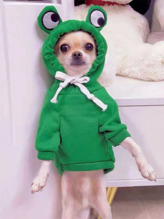 Sweat à capuche vert pour chien