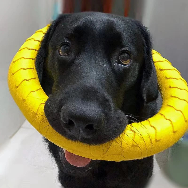 Anneaux jouet pour chien caoutchouc