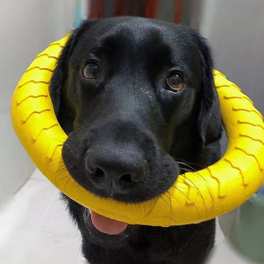 Anneaux jouet pour chien caoutchouc