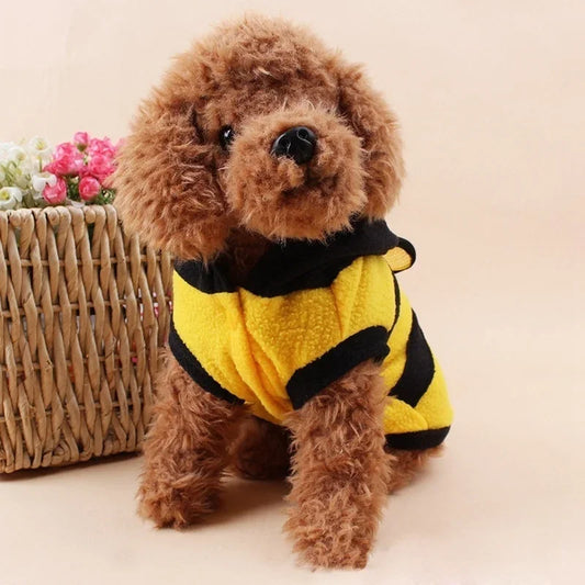Manteau pour chiot abeille