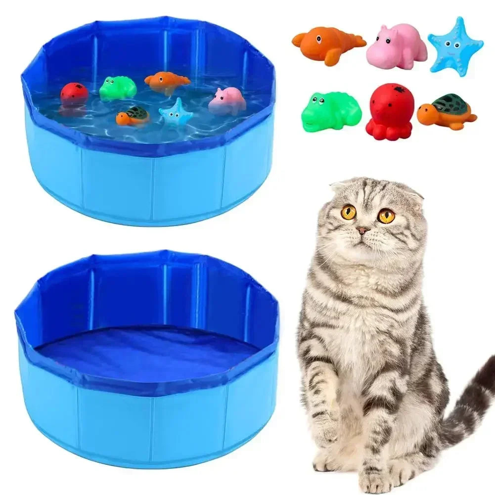 Piscine pour chats, chiots ou autres