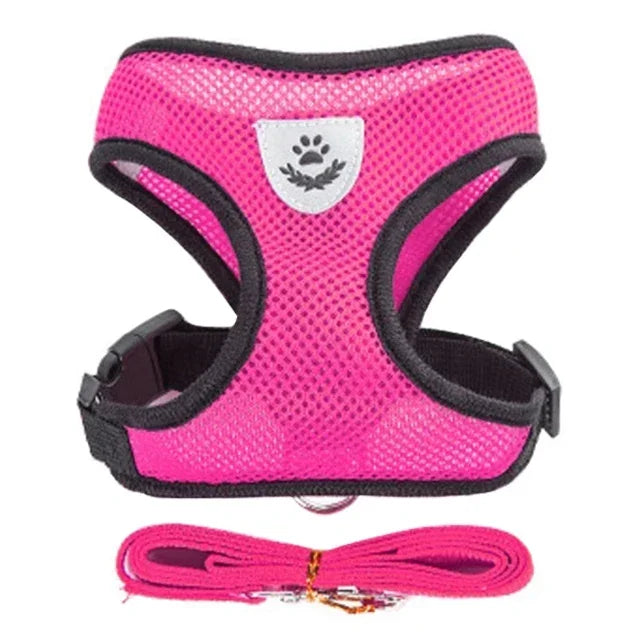 Harnais réglable pour chats et chiens