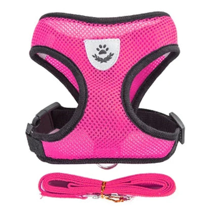 Harnais réglable pour chats et chiens