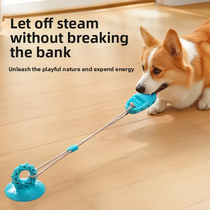 Jouet avec ventouse pour stimuler les chiens