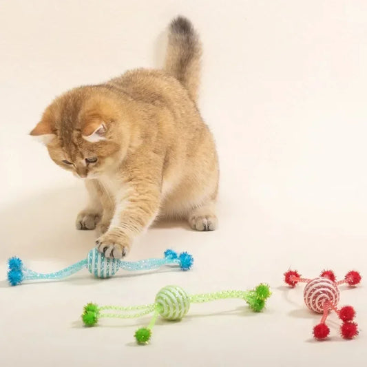 Cordes pour chats