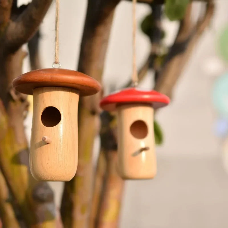 Maison extérieure pour oiseaux