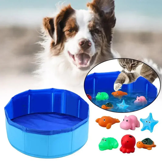Piscine pour chats, chiots ou autres