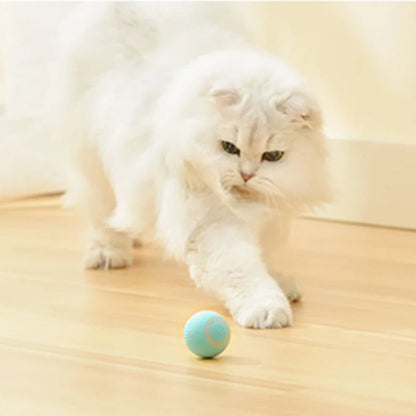 Balle interactive pour chats à rotation automatique