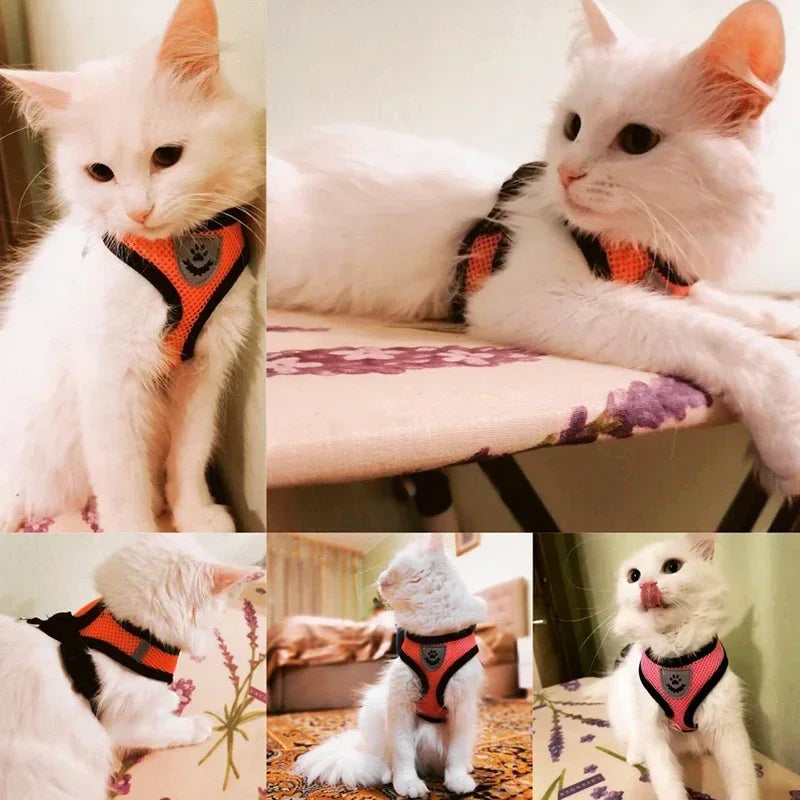 Harnais réglable pour chats et chiens
