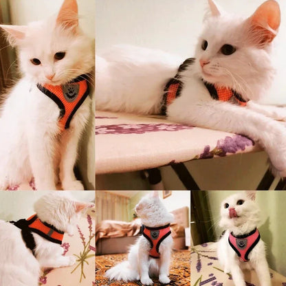 Harnais réglable pour chats et chiens