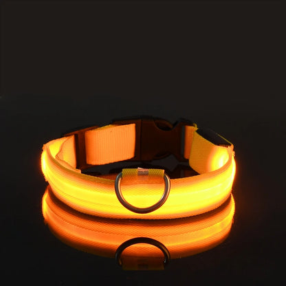Collier de chien basique équipé d’un système d’éclairage
