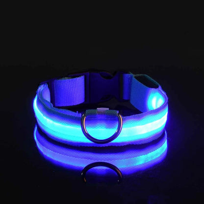 Collier de chien basique équipé d’un système d’éclairage