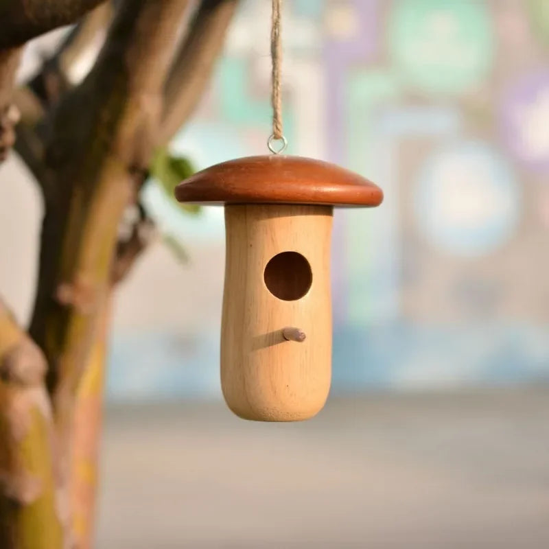 Maison extérieure pour oiseaux
