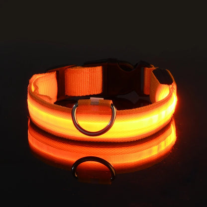 Collier de chien basique équipé d’un système d’éclairage
