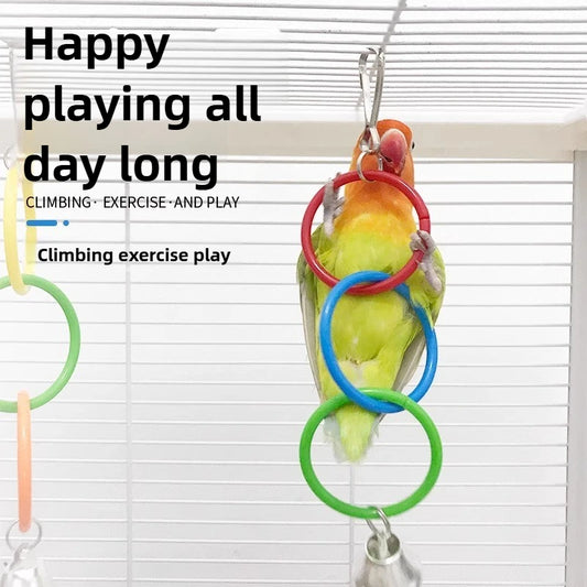 Jouets anneaux pour oiseaux