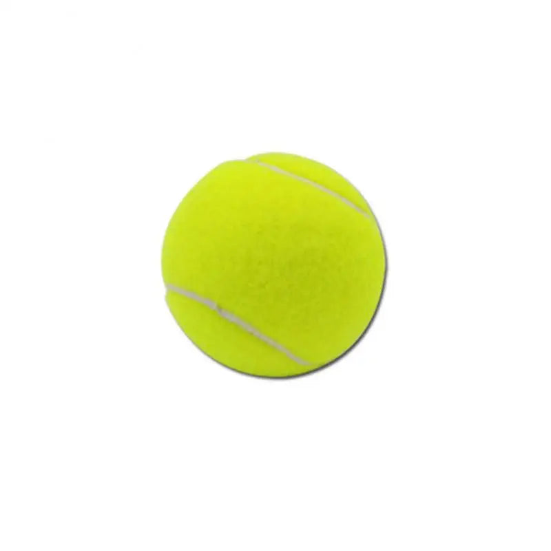 Balles de tennis pour chiens
