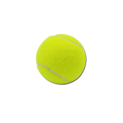 Balles de tennis pour chiens