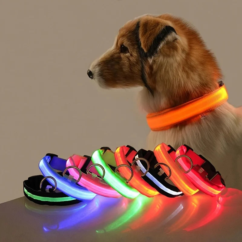 Collier de chien basique équipé d’un système d’éclairage