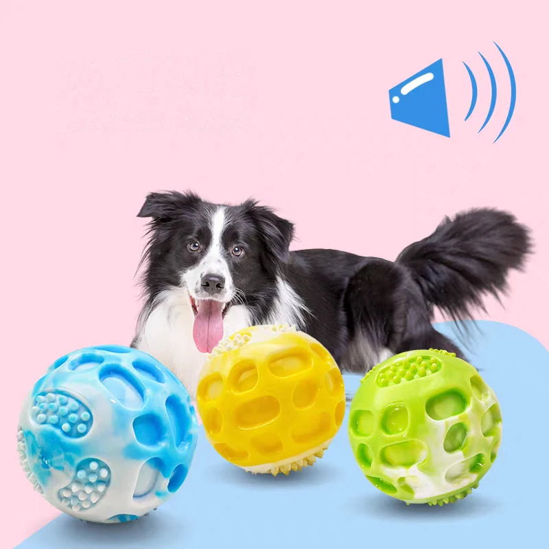 Balle d'entrainement pour chiens