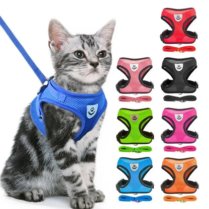 Harnais réglable pour chats et chiens